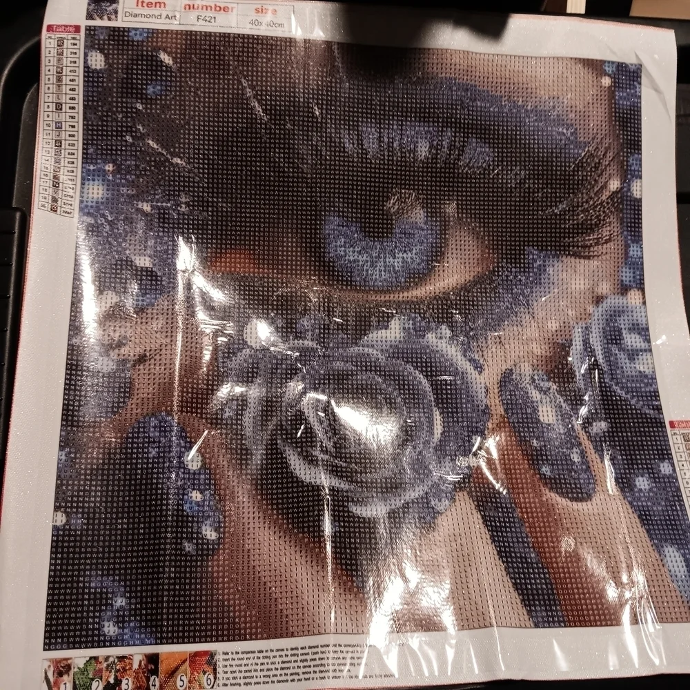 Blue Eye and Rose Diamond Art Painting Kit 40x40